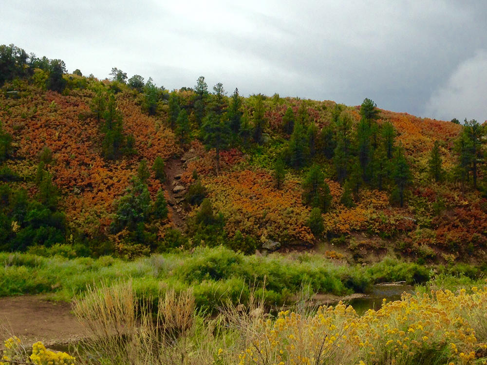 Photo Gallery Town of Dolores